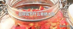 豆瓣酱为什么要晒太阳