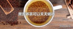 黑苦荞茶可以天天喝吗