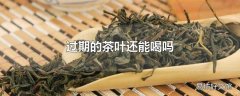 过期的茶叶还能喝吗