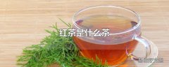 红茶是什么茶