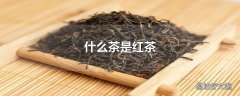 什么茶是红茶