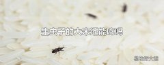 生虫子的大米还能吃吗