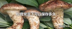 松茸常温下可以保存多久