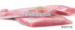 里脊肉是鸡肉吗