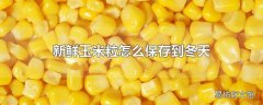 新鲜玉米粒怎么保存到冬天