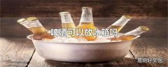 啤酒可以放冰箱吗