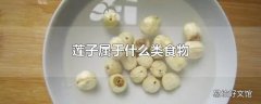 莲子属于什么类食物