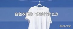 白色衣服染上核桃汁怎么办