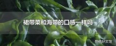 裙带菜和海带的口感一样吗