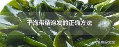 干海带结泡发的正确方法