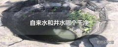 自来水和井水哪个干净