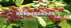 凤眼果放冰箱能保存多久