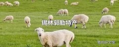 锡林郭勒特产