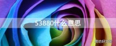 53880什么意思