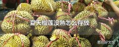 夏天榴莲没熟怎么存放