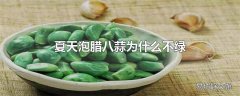 夏天泡腊八蒜为什么不绿