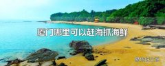 厦门哪里可以赶海抓海鲜