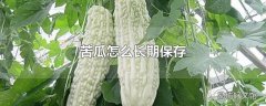 苦瓜怎么长期保存