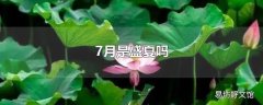 7月是盛夏吗