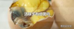 活珠子有细菌吗