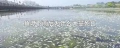 鱼塘下雨后为什么大量死亡