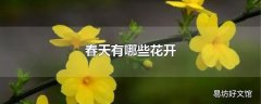 春天有哪些花开