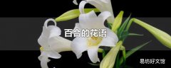 百合的花语