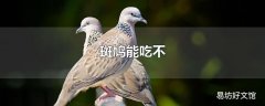 斑鸠能吃不