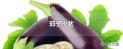 茄子形状