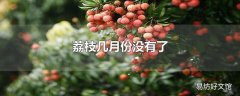 荔枝几月份没有了