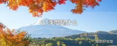 Q1季度是什么