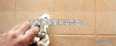 黄梅天家里潮湿怎么办