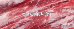 怎么判断肉坏没坏