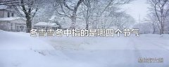 冬雪雪冬中指的是哪四个节气