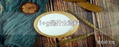 i+g是什么调料