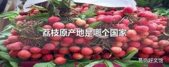荔枝原产地是哪个国家