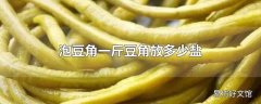 泡豆角一斤豆角放多少盐