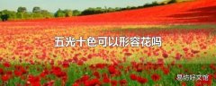 五光十色可以形容花吗