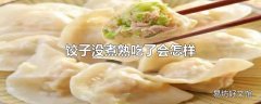 饺子没煮熟吃了会怎样