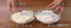 稀奶油是人造奶油吗