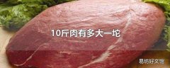 10斤肉有多大一坨