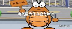 房间里为什么会有蟑螂