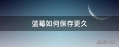 蓝莓如何保存更久
