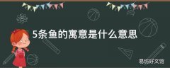 5条鱼的寓意是什么意思