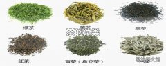 茶的分类