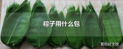 粽子用什么包