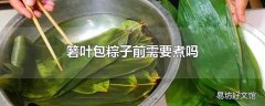 箬叶包粽子前需要煮吗