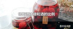 杨梅酒冰糖和酒的比例