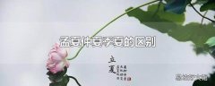 孟夏仲夏季夏的区别