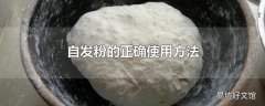 自发粉的正确使用方法